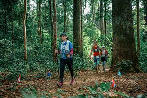 BIB: 
                            <button type="button" onclick="openModal(26134738)" class="btn btn-primary btn-sm float-right btn-popup" data-toggle="modal" data-target=".modal-high-quality">
                        <i class="fas fa-shopping-cart"></i> Add to Cart
                    </button>
                                            <button type="button" onclick="isThisMe(26134738, true)" class="btn btn-success btn-sm float-right btn-popup btn-isme hidden" data-toggle="tooltip" data-placement="bottom" title="นี่คือรูปของคุณใช่ไหม คลิกที่นี่เพื่อเอาเข้าอัลบั้ม">
                        <i class="fas fa-plus"></i> Add to album
                    </button>
                    <button type="button" onclick="isThisMe(26134738, false)" class="btn btn-warning btn-sm float-right btn-popup btn-isnotme hidden">
                        <i class="fas fa-ban"></i> Remove from album
                    </button>